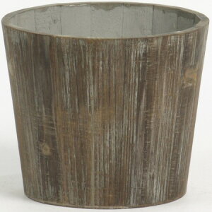 SG Wonder zone/LtؐAeB[N_5p/738-50Dy07z K[fjOE|pi AؔEt[|bg ؐ