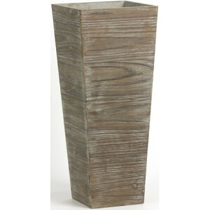 SG Wonder zone/ؐAeB[NPKC6X^h/738-06KLy07z ԊA[X t[X^h ^EԃX^h