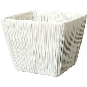 勴VX/zCgVtv^[XNGAD5/23-925y01z ԊA[X ԂEt[oXPbg EH[^[qVXECYoXPbg