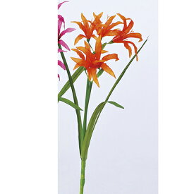 楽天市場 ネリネ 花 観葉植物 花 ガーデン Diy の通販