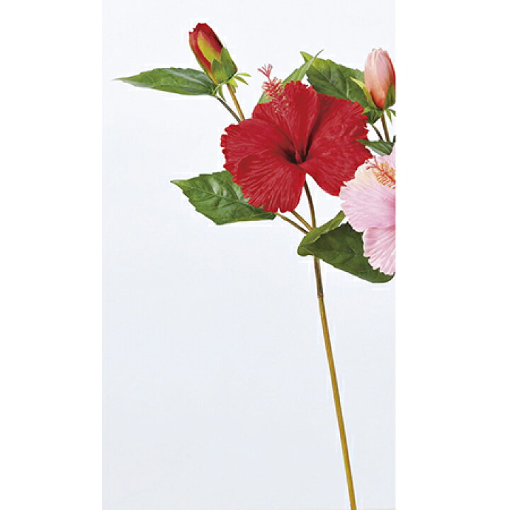 楽天市場 造花 アスカ ハイビスカス レッド A 002 01 取寄 造花 アーティフィシャルフラワー 造花 花材 は行 ハイビスカス 花材通販はなどんやアソシエ