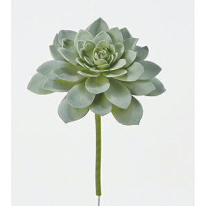 yԁzAXJ/TbJe@tXgO|/A-42305-051Fy01z ԁiA[eBtBVt[j ԗtAtFCNO[ A