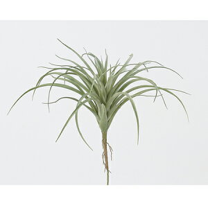 yԁzAXJ/TbJe@tXgO|/A-42252-051Fy01z ԁiA[eBtBVt[j ԗtAtFCNO[ A