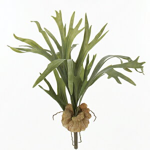 yԁzAXJ/X^bOz[@tXgO|/A-42255-051Fy01z ԁiA[eBtBVt[j ԗtAtFCNO[ A