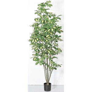 yzylHϗtAzAXJ/VFt|bg@N[O[/A-50860-053A ԕisy01z ԁiA[eBtBVt[j ԗt ԁElHϗtA `150cm