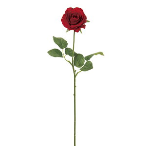 yԁzMAGIQ/teBA[Y 3 RED /FM002787-003y01z ԁiA[eBtBVt[j  ԍށu͍sv o