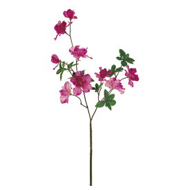 楽天市場 アザレア 花 観葉植物 花 ガーデン Diy の通販