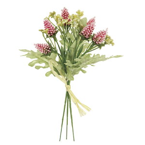 �y���ԁzMAGIQ������/�A�L���A�x���j�J�s�b�N�@��2�@PINK�@3�{/FM004051-002�y01�z ���ԁi�A�[�e�B�t�B�V�����t�����[�j ���� �ԍށu���s�v �A�L���A