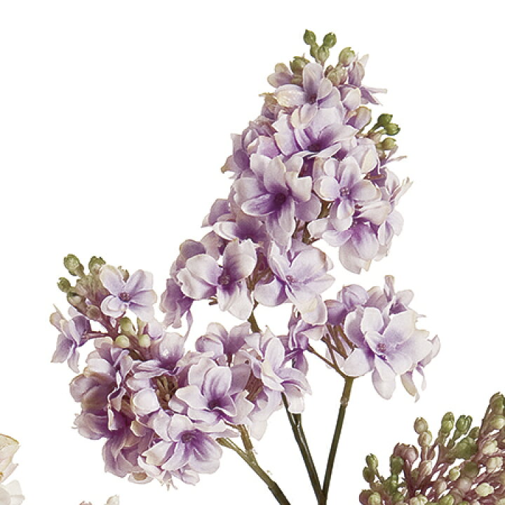 楽天市場 造花 Magiq 東京堂 ジュリアライラック １１ ｌａｖ Fm 011 01 取寄 造花 アーティフィシャルフラワー 造花 花材 ら行 ライラック 花材通販はなどんやアソシエ