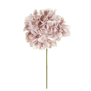 yԁzMAGIQ/AXnChWA@42@MAUVE@161@/FM025048-042y01z ԁiA[eBtBVt[j  ԍށusv izԁj