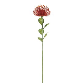 楽天市場 ピンクッション 花 ガーデン Diy の通販 楽天市場 ピンクッション 花 ガーデン Diy の通販
