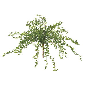 yԁzMAGIQ/C[vcubV@GREEN@/FG001834y01z ԁiA[eBtBVt[j ԗtAtFCNO[ A