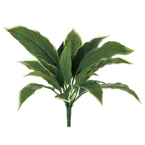 yԁzMAGIQ/fBtFoLAubV@YE^GR@/FG009180y01z ԁiA[eBtBVt[j ԗt fBtFoLA