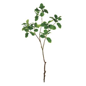 【造花】MAGIQ東京堂/マグノリアブランチ　GREEN　/FG008165【01】 造花（アーティフィシャルフラワー） 造花 花材「ま行」 モクレン（木蓮）・マグノリア