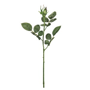 yԁzMAGIQ/vXe [YS GREEN 6{/FG010937y01z ԁiA[eBtBVt[j  ԍށu͍sv o