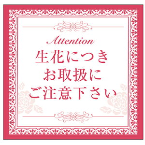 LittleGarden/Ԃ戵V[ 100/xs0060y01z bsOpi A bsOV[EbZ[WV[ 戵ӃV[