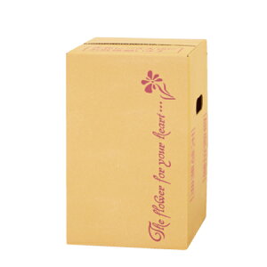 LittleGarden/HD|4 i{́E󂯕ʔj/hd1004y01z[20] bsOpi A _{[Ez _{[