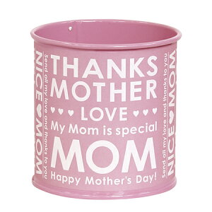 LittleGarden/�t�F�[���u�����|�b�g 38�i�C�X�}��P/ux1638�y01�z �Ԋ�A���[�X �Ԋ�E�ԕr �u���L�E�A�C�A���t�����[�ׁ[�X ���� ���� ������� �t �� ������ ������ ������ �C�[�X�^�[ �N���X�}