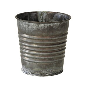 LittleGarden/AeB[NuLEhSS EG[uBK/ux2332y01z ԊA[X ԊEԕr uLEACA