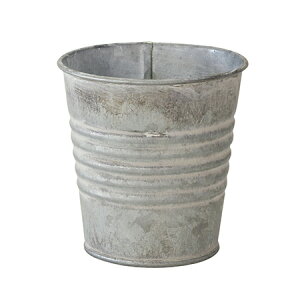 LittleGarden/AeB[NuLEhS EG[uAG/ux2341y01z[10] ԊA[X ԊEԕr uLEACA