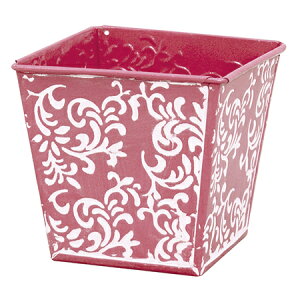 LittleGarden/AeB[NuLobNM PK/ux1234y01z ԊA[X ԊEԕr uLEACA