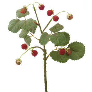 yԁzYDM/tbVYx[V[g bh/FG4673-Ry01z ԁiA[eBtBVt[j ԎAtFCNt[c EXgx[