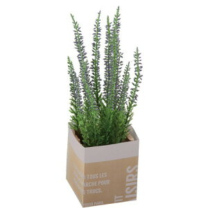 �y�l�H�ϗt�A���zYDM/�G���J�y�[�p�[�|�b�g �p�[�v��/GLA1335-PU�y01�z ���ԁi�A�[�e�B�t�B�V�����t�����[�j ���ԗt�� ���ԁE�l�H�ϗt�A�� ���|�b�g