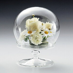 LEO^JIJ/T|254@@th[L/T-254y01z ԊA[X ԊEԕr h[AKXh[