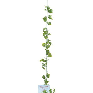 �y���ԁzYDM/�w�b�_�c�L �O���[�v�K�[�����h�ipoppy-FG0250AP�j�y01�z ���� �A�[�e�B�t�B�V�����t�����[ �t���A�t�F�C�N�O���[�� �O���[�v�l�H �t�����[�A�����W�ԍ� ������� �n���h���C�h�ޗ�