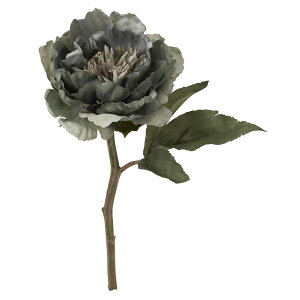 yԁzYDM/A[gsIj[V[g _[NOC/FA-7033-DGYy01z ԁiA[eBtBVt[j  ԍށusv VNNi䉖jE{^iOjEsIj[