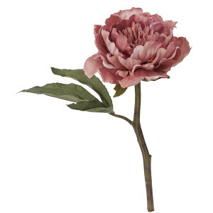 yԁzYDM/A[gsIj[V[g [u/FA-7033-MAVy01z ԁiA[eBtBVt[j  ԍށusv VNNi䉖jE{^iOjEsIj[