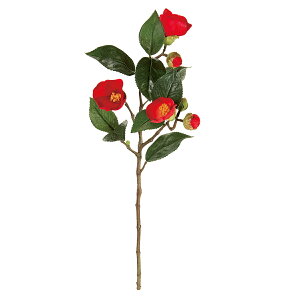 yԁzMAGIQ/j 28 RED /FJ002634-028y01z ԁiA[eBtBVt[j  ԍށusv coLiցj