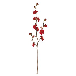 yԁzMAGIQ/~ 3 RED /FJ007088-003y01z ԁiA[eBtBVt[j  ԍށusv Ei~j