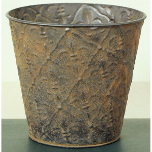 LittleGarden/AeB[NuL ACXM X^[/ux2374y01z ԊA[X ԊEԕr uLEACA