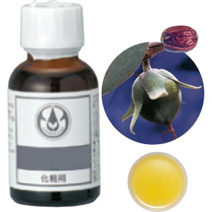 生活の木/ホホバオイル・ゴールデン(未精製) 25mL/12-401-1030【01】 アロマ キャリアオイル(植物油)