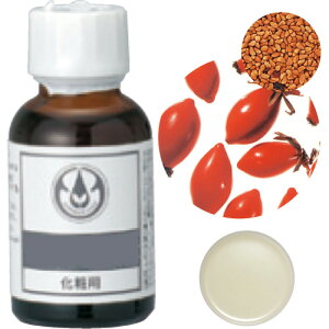 ̖/[YqbvICENAij@25mL/12-401-1200y01z A} LAIC(A)