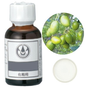 生活の木/オリーブスクワラン 25mL/12-401-1300【01】 アロマ キャリアオイル(植物油)