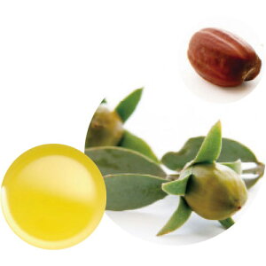 ̖/zzoICENAij@60mL/12-401-7040y01z A} LAIC(A)