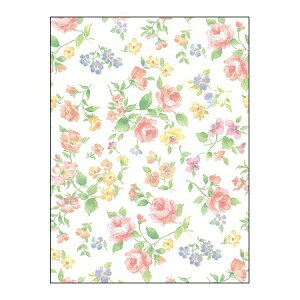 TTK/@}lXN@S 50/ 49-2560y01z bsOpi A bsOy[p[() ()