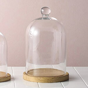 Paseo/KXh[/EX-45-32.5y01z ԊA[X ԊEԕr h[AKXh[