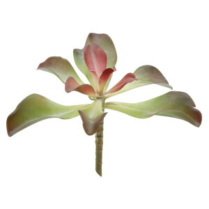 yԁzۘaf/tFCNvc D/400796100y07z ԁiA[eBtBVt[j ԗtAtFCNO[ A