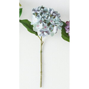 yԁz{uNtg/Hydrangea@HFV[g/15021By01z[3{] ԁiA[eBtBVt[j  ԍށusv izԁj