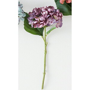 yԁz{uNtg/Hydrangea@HFV[g/15021Vy01z ԁiA[eBtBVt[j  ԍށusv izԁj