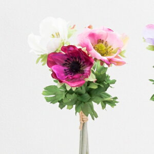 yԁz{uNtg/Anemone@Alloh/15012Py01z[3{] ԁiA[eBtBVt[j  ԍށusv All