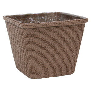 勴VX/yv XNGAD5 uE/22-205y01z ԊA[X ԂEt[oXPbg [v҂݃oXPbg