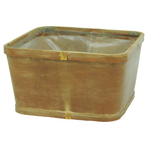 勴VX/Vi 񂹃XNGA/73-080y01z[6] ԊA[X ԂEt[oXPbg ̑ Ԃ