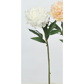 【造花】アスカ/ピオニー ホワイト/A-32996-001 芍薬・牡丹【01】【取寄】 造花（アーティフィシャルフラワー） 造花 花材「さ行」 シャクヤク（芍薬）・ボタン（牡丹）・ピオニー