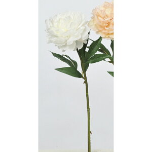 yԁzAXJ/sIj[ zCg/A-32996-001 䉖EOy01z ԁiA[eBtBVt[j  ԍށusv VNNi䉖jE{^iOjEsIj[