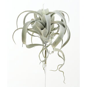 yԁzAXJ/LZOtBJ OCO[/A-42476-063Gy01z ԁiA[eBtBVt[j ԗtAtFCNO[ A