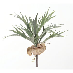 yԁzAXJ/X^bOz[ tXgO[/A-42472-051Fy01z ԁiA[eBtBVt[j ԗtAtFCNO[ A